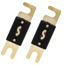 Siguranta ANL, 100A, set 2buc